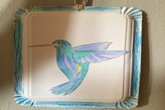 colibrì11