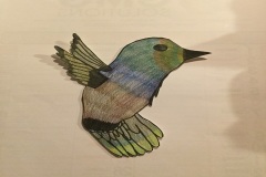 colibrì24