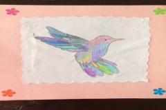 colibrì35